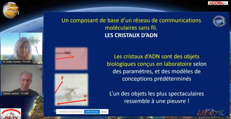 les-critaux-d-adn.jpg