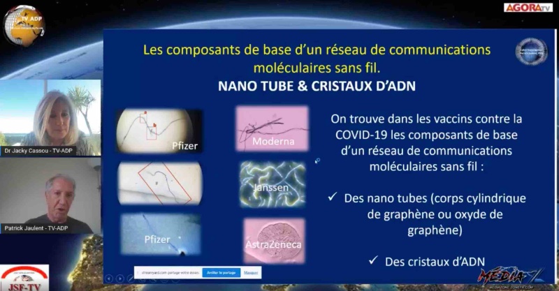 nano-tubes-et-cristaux-d-adn.jpg