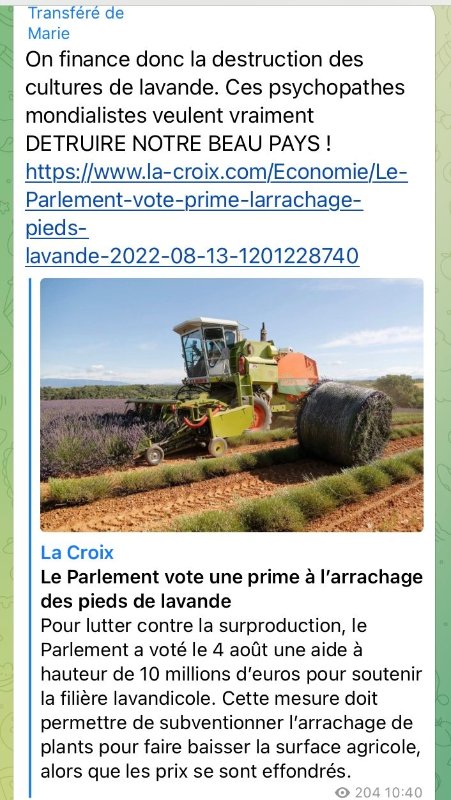l-arrachage-des-racines-des-plantes-de-lavande.jpeg
