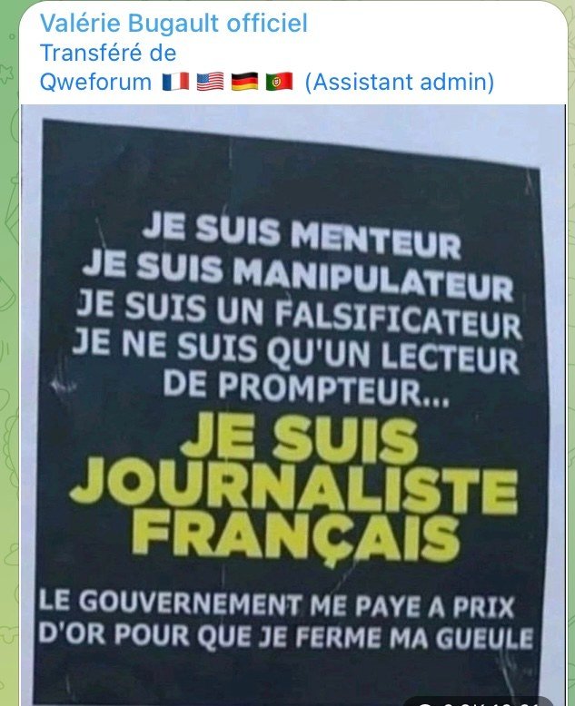 les-journalistes-des-grands-medias-demasques.jpeg