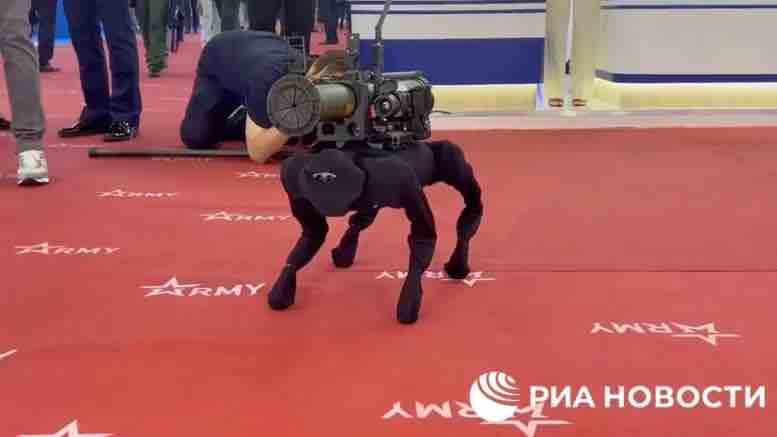 chien-robot-avec-un-lanceur-rpg.jpg