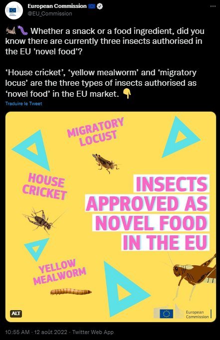 l-ue-approuve-des-insectes-pour-consommation-humaine.jpeg
