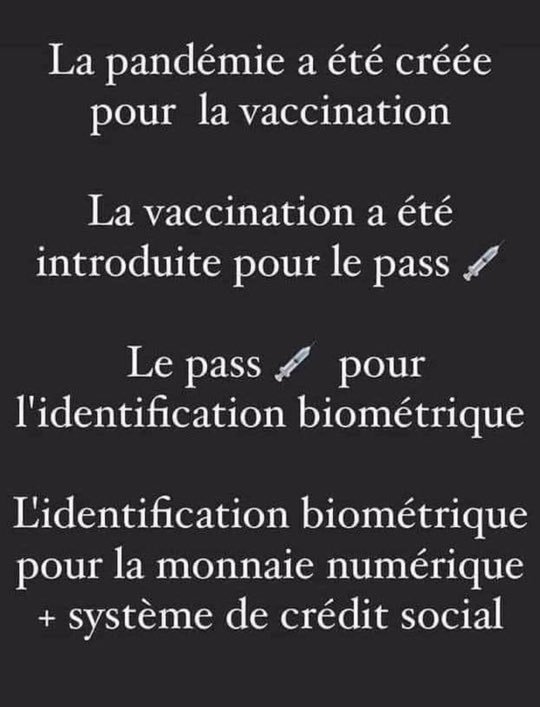 la-covidisterie-mondialiste.jpeg