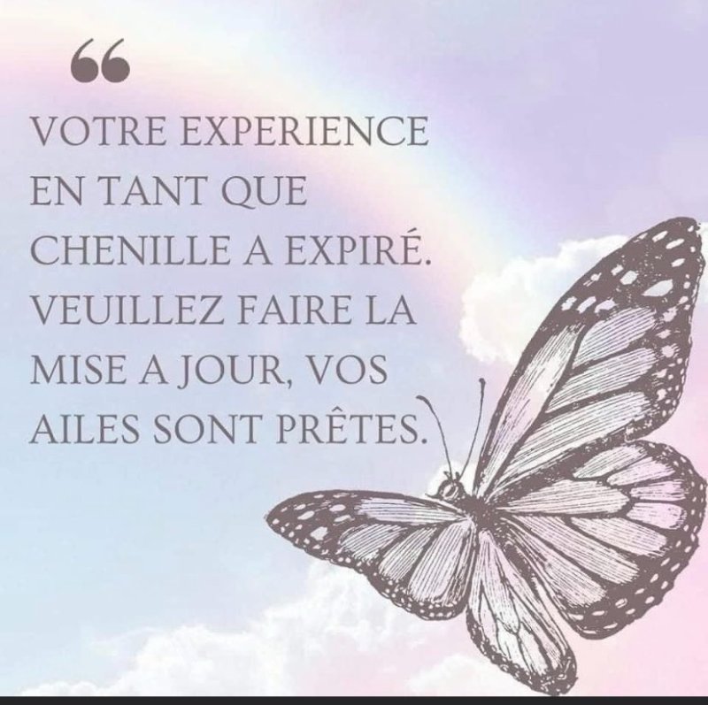 faites-votre-mise-a-jour.jpeg