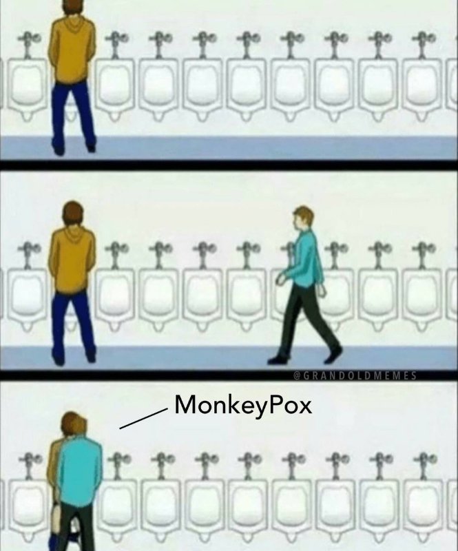 comment-se-transmet-le-monkeypox.jpeg