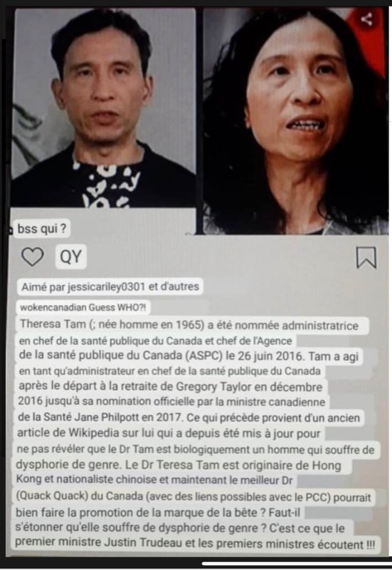 le-vrai-visage-de-theresa-tam.jpeg