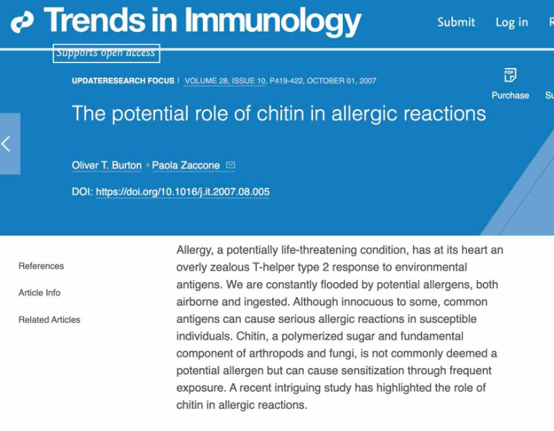 insectes-et-dangers-d-allergies.jpg