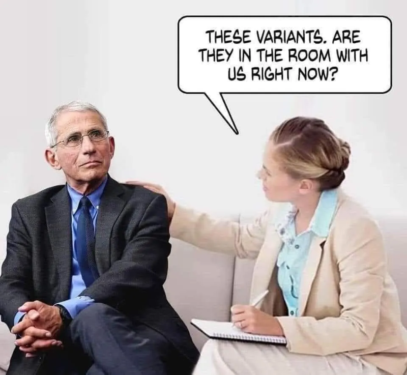 est-ce-que-les-variants-sont-dans-la-piece-avec-nous-en-ce-moment.png