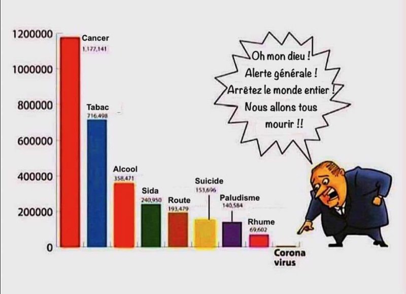 la-covid-est-une-arnaque.jpeg