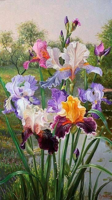 magnifiques-fleurs-dans-un-pre.jpg