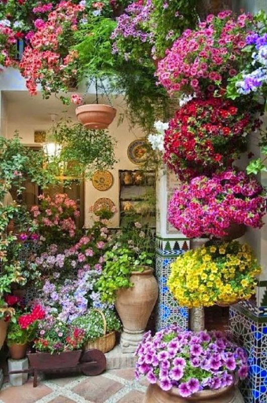 patio-tout-en-fleurs.jpg