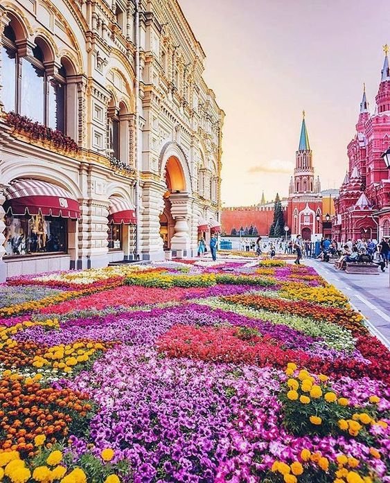 tapis-de-fleurs-a-moscou-en-russie.jpg