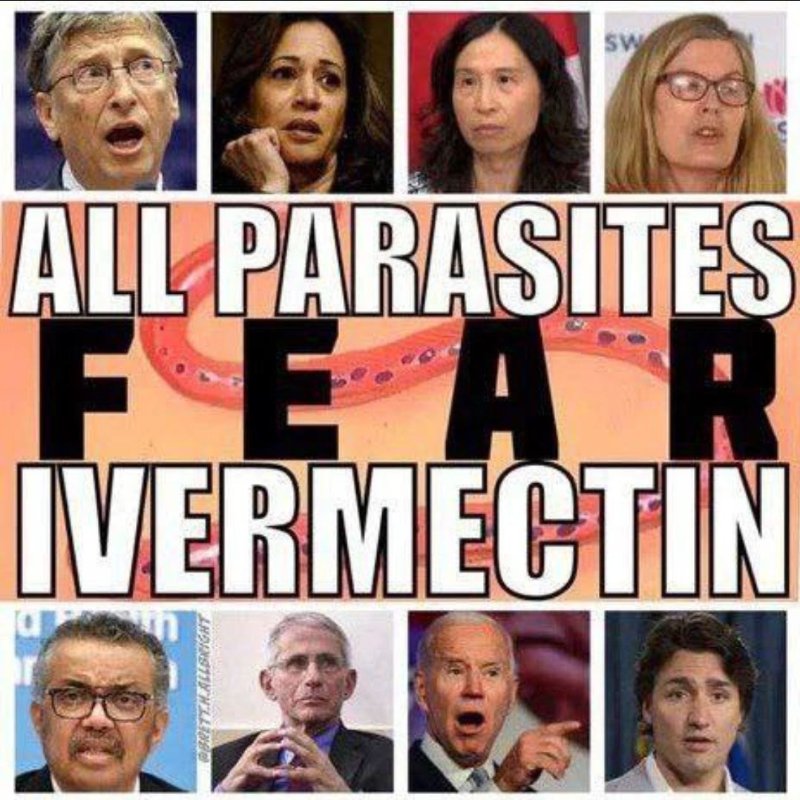 tous-les-parasites-ont-peur-de-l-ivermectine.jpeg