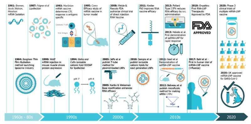 Une chronologie des innovations qui ont contribué au développement de vaccins à ARNi et de technologies associées. Il s’agit notamment des progrès technologiques associés à chacun des quatre piliers d’un vaccin à ARNi réussi [27,39,40,41,42,43,44,45,46,47,48,49,50,51,52,53,54,55,56].