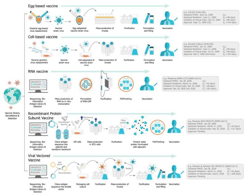 Une comparaison des procédés de fabrication de médicaments vaccinaux pour la fabrication à base d’œufs et de cellules de vaccins conventionnels, ainsi que de vaccins produits à partir d’informations sur la séquence du génome viral telles que l’ARN, la sous-unité protéique et les vaccins à ADN vectorisé viral contre le SARS-CoV-2 de Moderna, Novavax et Johnson &amp; Johnson respectivement [130 131 132 133 134 135 136 137 138, 139 140 141 142 143]. Les vaccins à ARN offrent un processus de fabrication sans cellules qui est responsable de nombreux avantages de la plate-forme, permettant une fabrication facile et rapide du vaccin. Le vaccin à ARNm de Moderna contre le SARS-CoV-2 (ARNm-1273) a commencé ses essais cliniques seulement 63 jours après la publication du génome du SARS-CoV-2. * À des fins de comparaison, nous avons inclus des calendriers historiques pour les vaccins pandémiques contre la grippe pour la production d’ovules et de cultures cellulaires, mais il convient de noter que des essais d’efficacité à grande échelle ne sont pas nécessaires pour ces vaccins puisqu’ils sont homologués en fonction d’un corrélat de protection (réponses anticorps d’inhibition de l’hémagglutination (HI)).