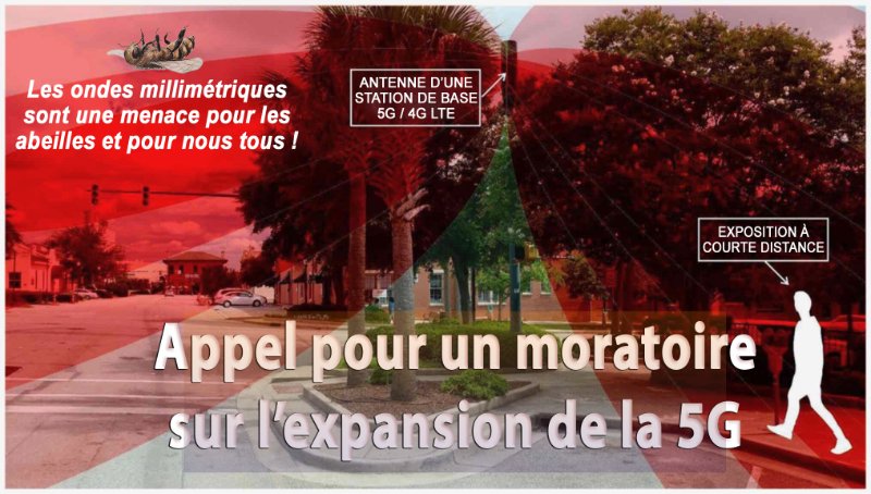 appel-pour-un-moratoire-sur-l-expansion-de-la-5g.jpeg