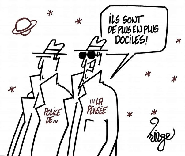 de-plus-en-plus-dociles.jpeg