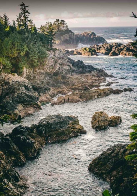 ile-saltspring-en-colombie-britannique-le-long-de-la-cote.jpg