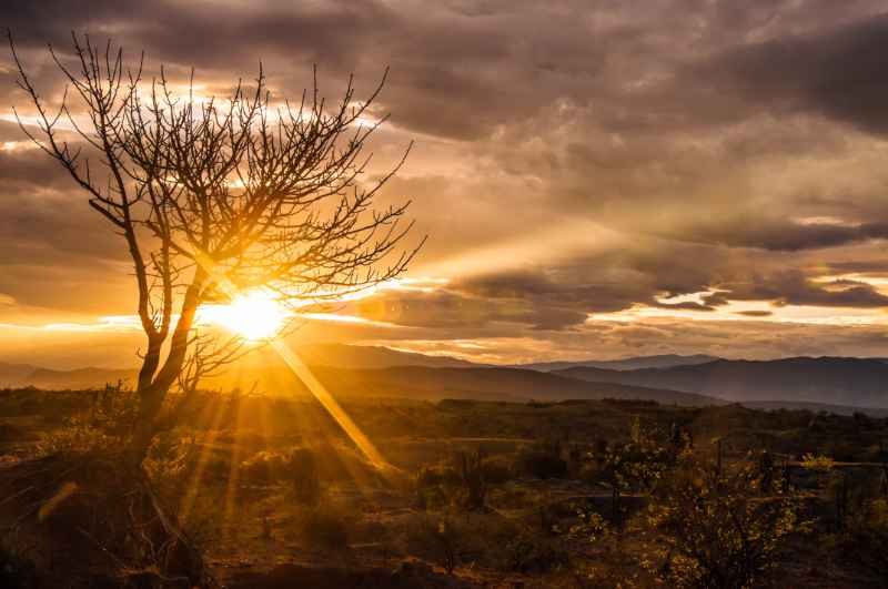 soleil-au-loin.jpg
