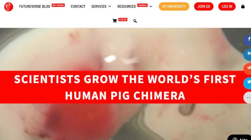 1ere-chimere-humain-cochon.jpg