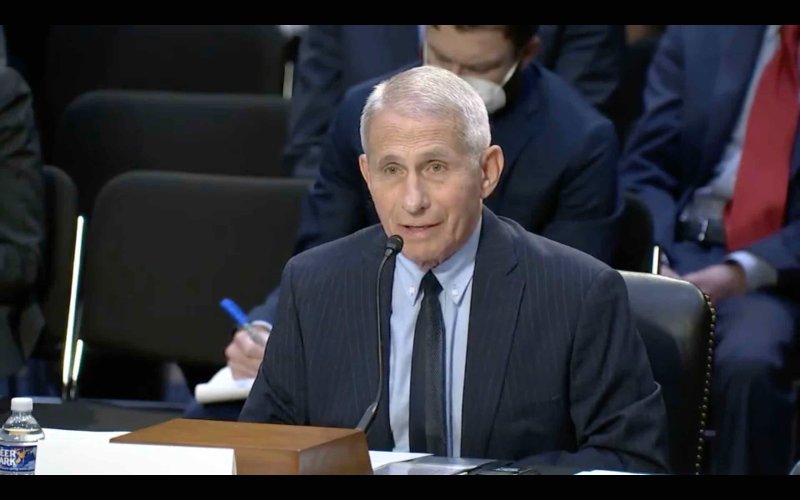 anthony-fauci-qui-se-fait-questionner-par-rand-paul.jpg