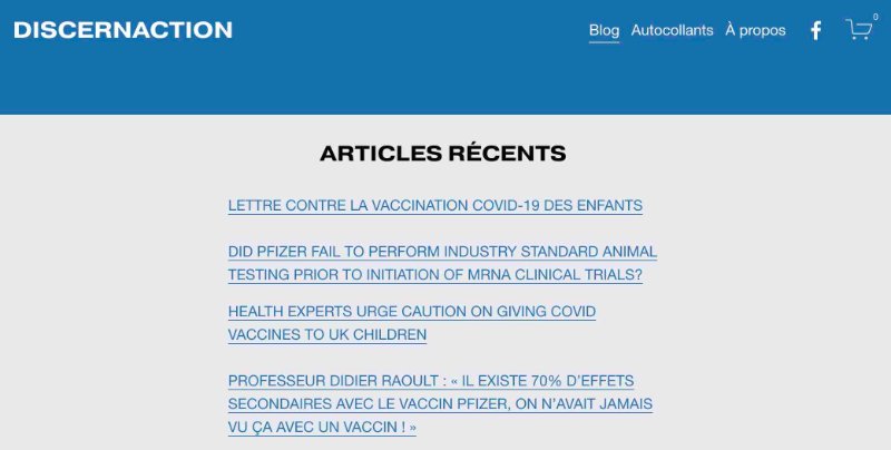 site-web-discernaction.jpg