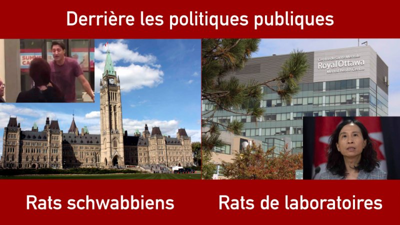 guide-pratique.jpg