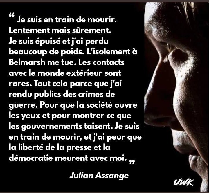 julian-assange-se-meurt-a-belmarsh.jpeg