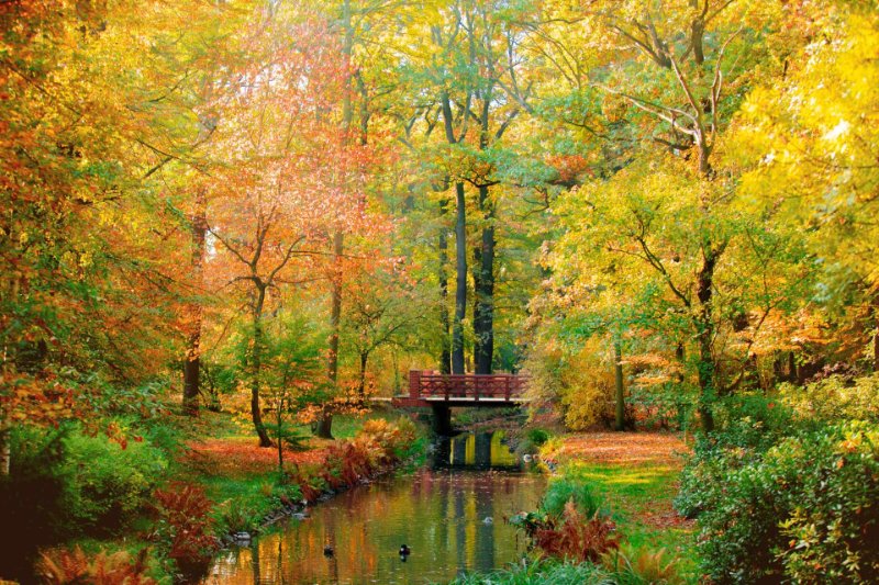automne.jpg