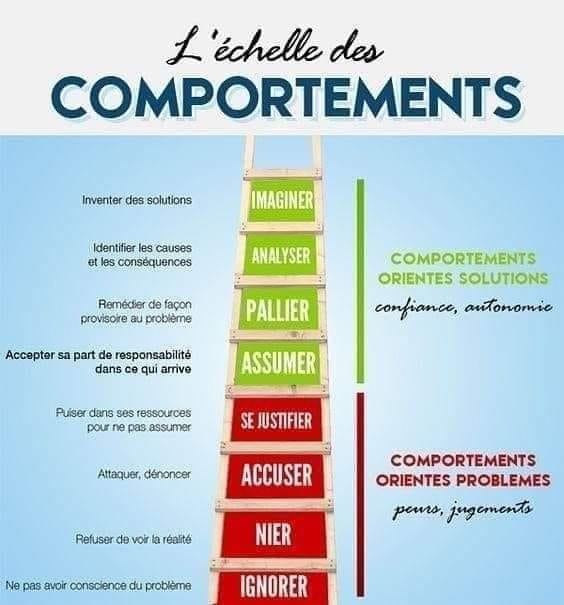 echelle-des-comportements.jpg