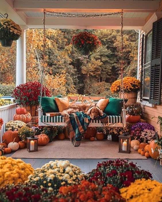 automne-.jpg