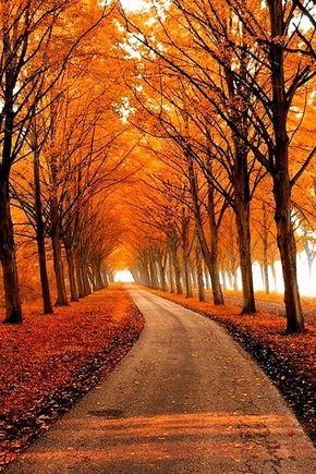 automne-1.jpg