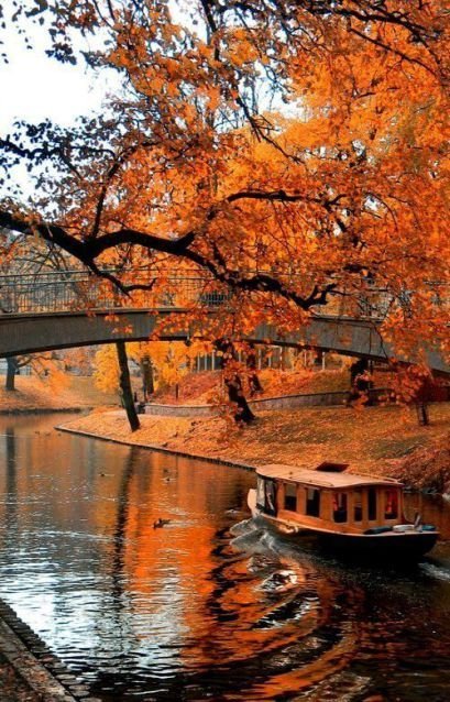 automne-2.jpg