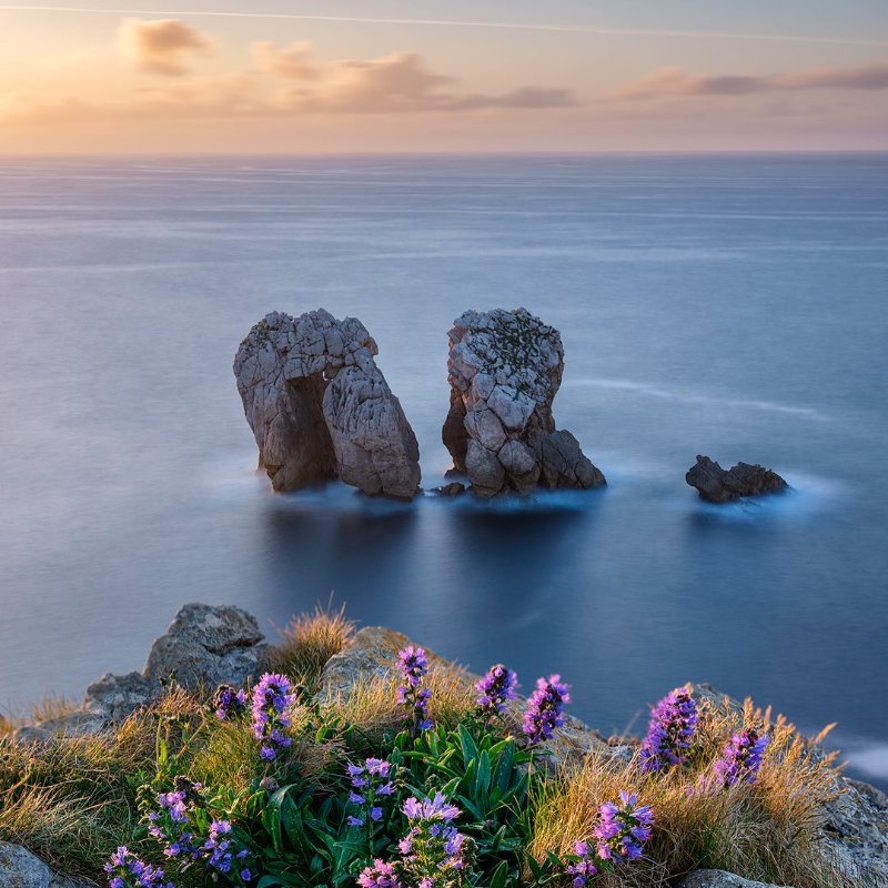 elia-locardi-4.jpg