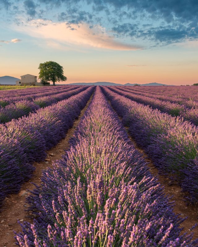 elia-locardi-9.jpg