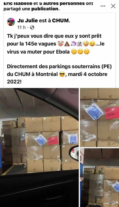 ils-sont-prets-pour-une-autre-vague.jpg