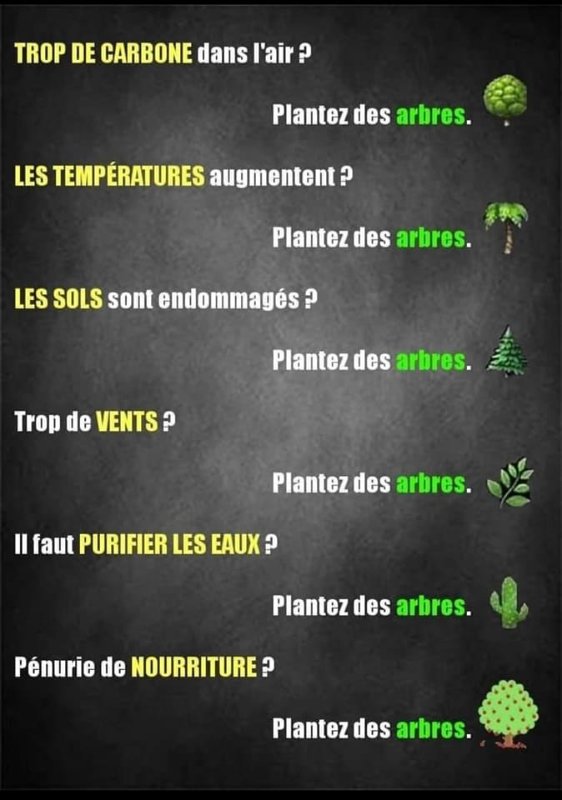 planter-des-arbres.jpg