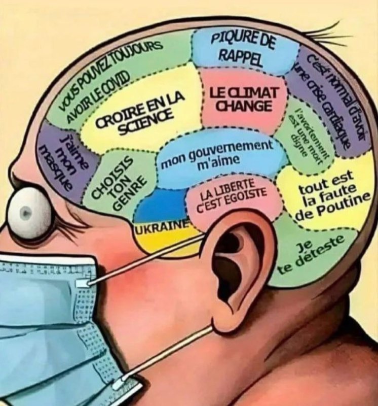 la-tete-d-unb-consentiste.jpeg