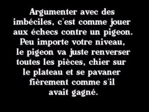 argumenter-avec-des-imbeciles.jpg