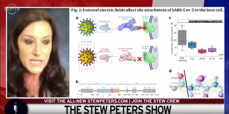 karen-kingston-au-stew-peters-show.jpg