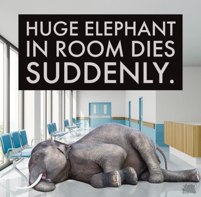 l-elephant-dans-la-piece-est-mort-subitement.jpg