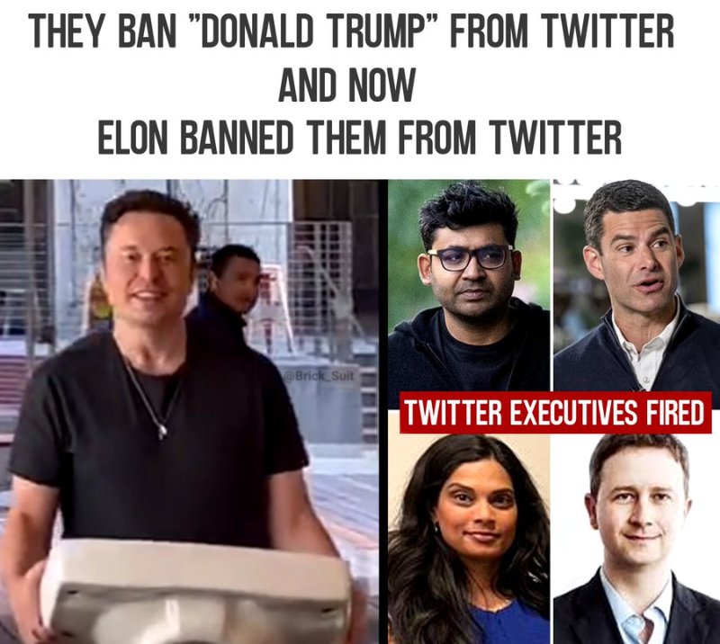 elon-fait-le-menage.jpg