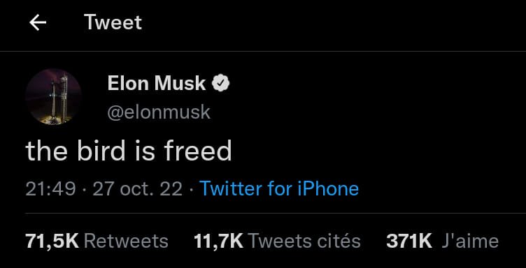 l-oiseau-est-libre-elon-musk-27-octobre-2022.jpg