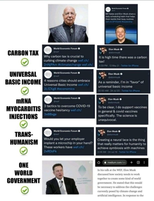 elon-musk-et-le-fem.jpg