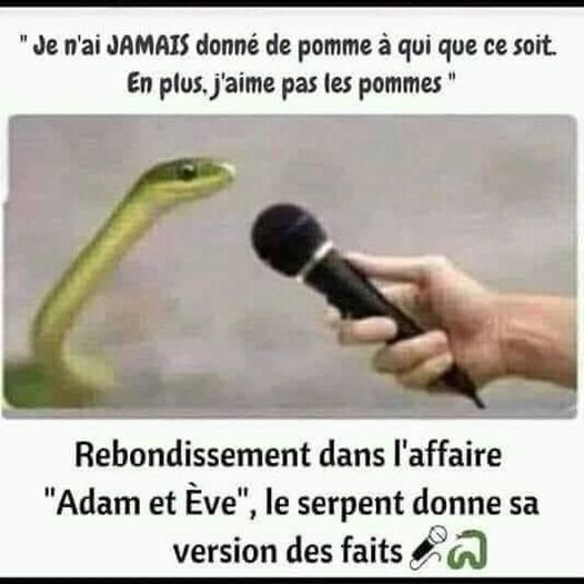 bfm-tv-donne-le-micro-a-des-serpents.jpeg