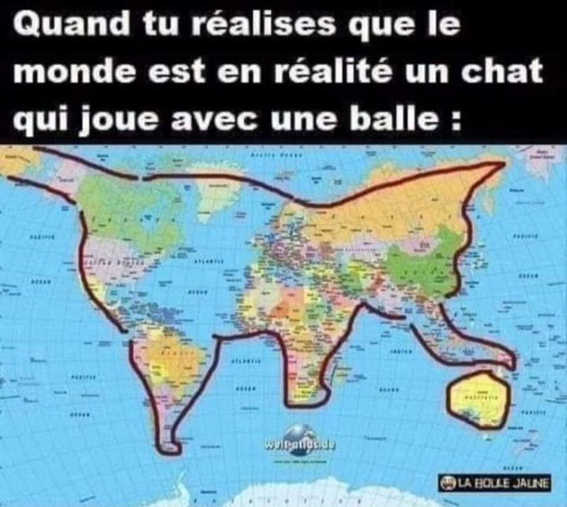 un-chat-qui-joue-avec-une-balle.jpg