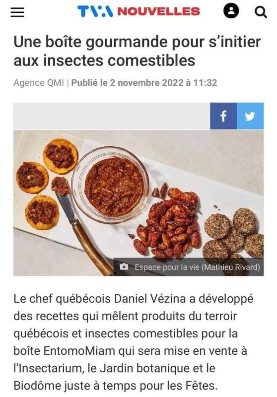 s-initier-aux-insectes-un-agenda-relaye-par-tva.jpg
