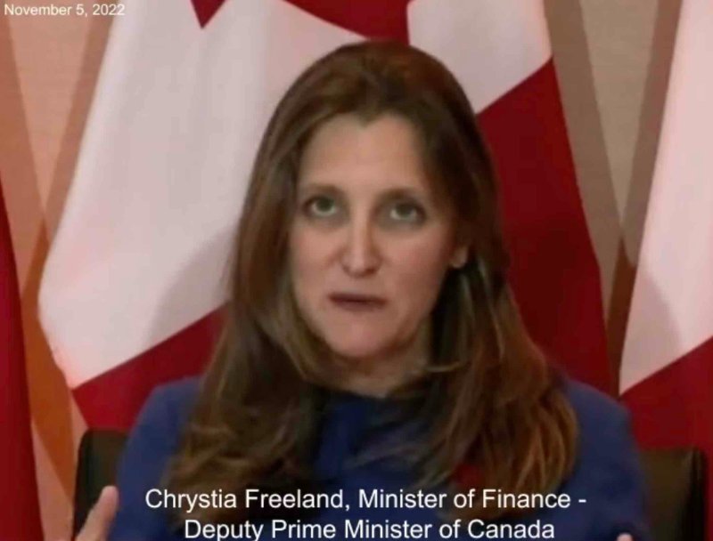 freeland-coupe-son-abonnement-a-disney-plus.jpg