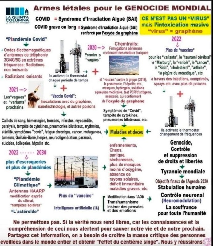 genocide-mondial-par-les-ondes-pulsees.jpeg