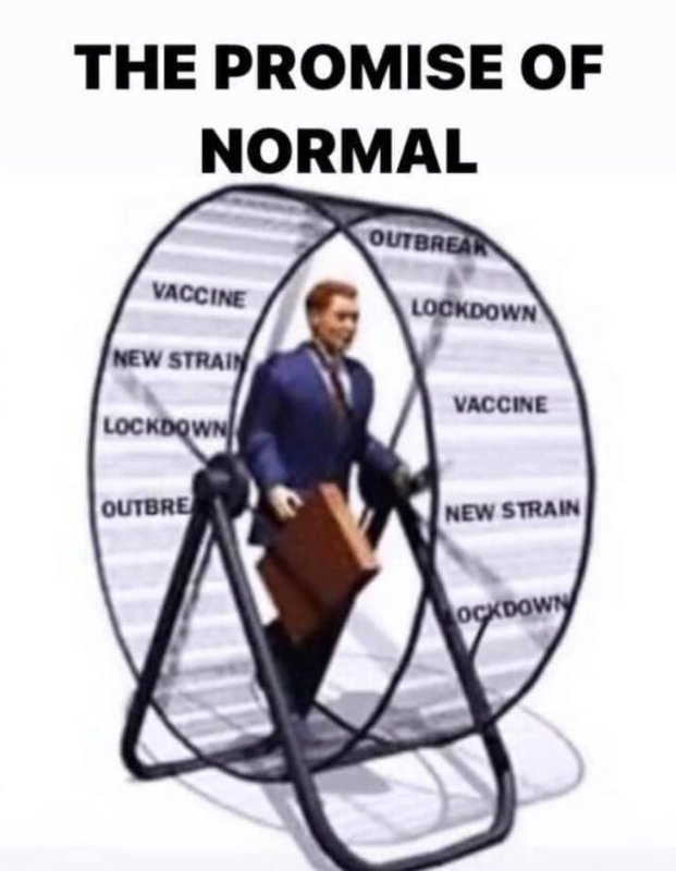 la-promesse-toxique-de-la-normalite.jpg